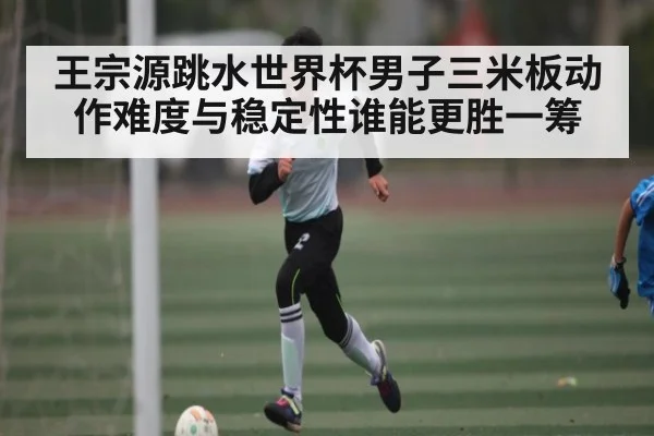 王宗源跳水世界杯男子三米板动作难度与稳定性谁能更胜一筹